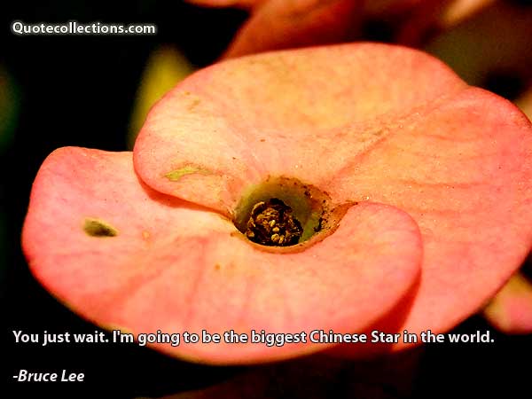 Bruce Lee quotes13