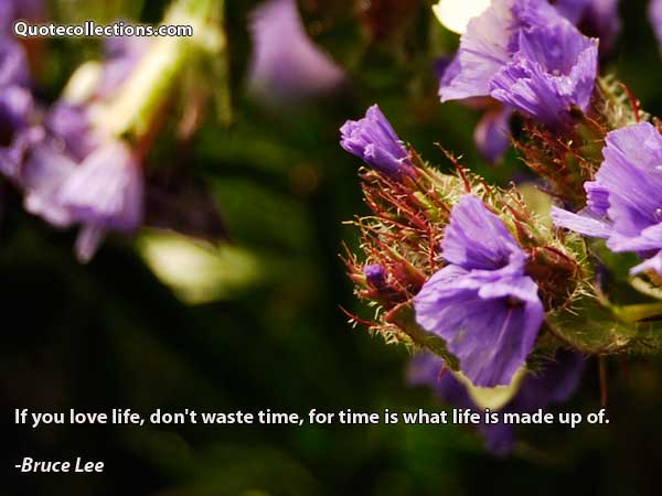 Bruce Lee quotes3