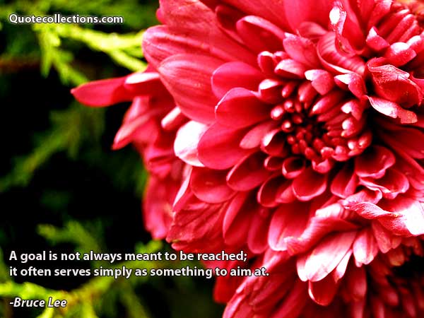 Bruce Lee quotes6