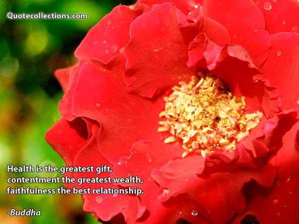 Buddha quotes5