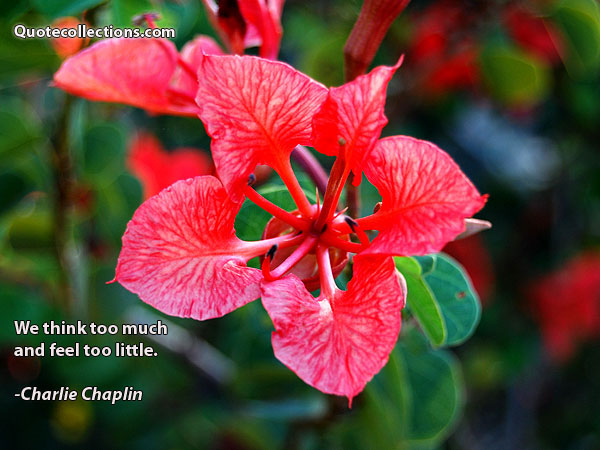 Charlie Chaplin quotes 1