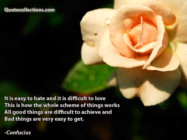 Confucius Quotes5