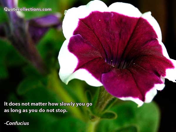 Confucius Quotes6