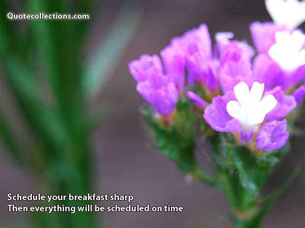 Corporate quotes1