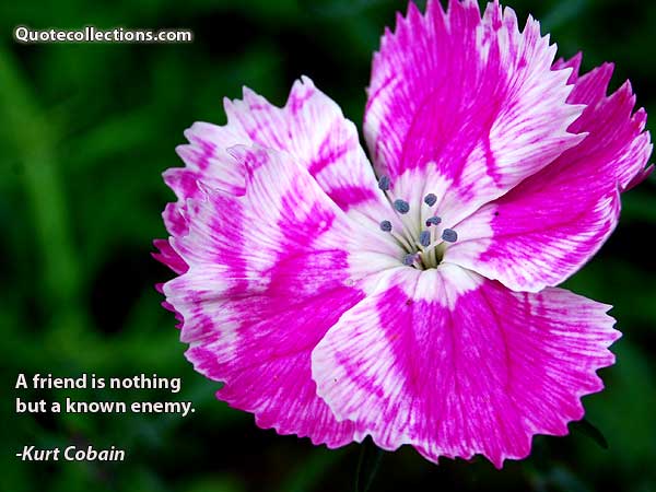 Kurt Cobain Quotes2