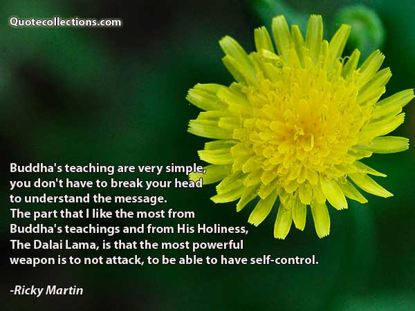Ricky Martin Quotes5