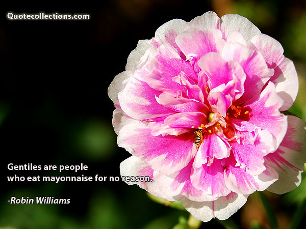 Robin Williams quotes10