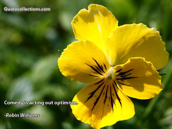 Robin Williams quotes5