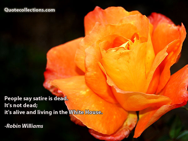 Robin Williams quotes8